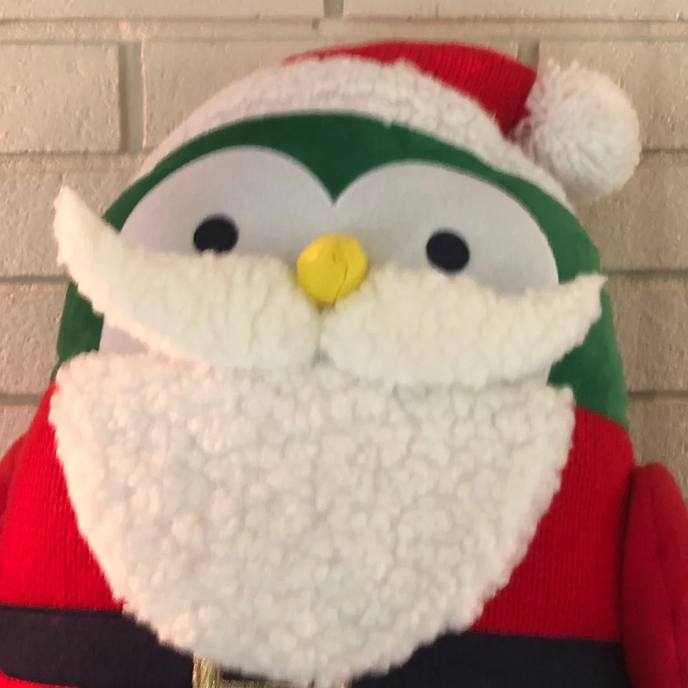 Wondershop Green and Red Santa Owl Pillow